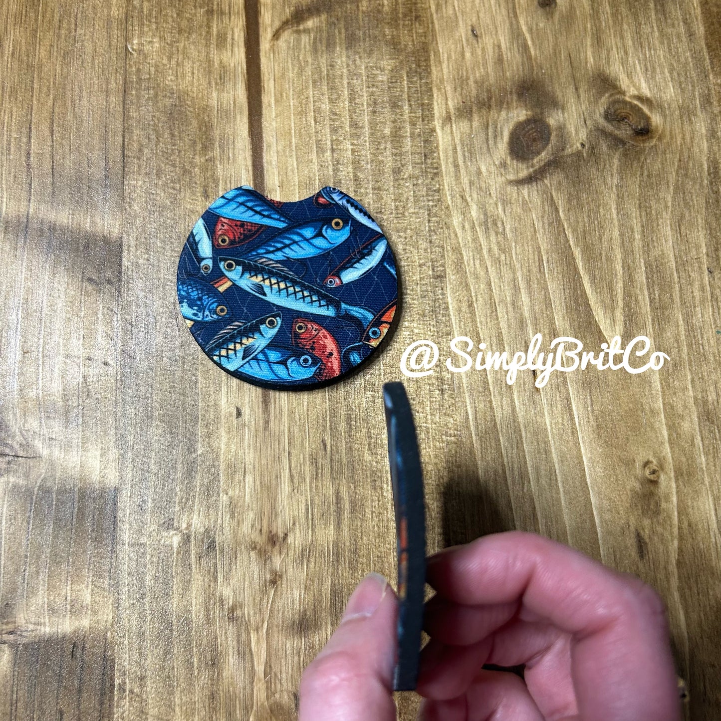 Fishy Set of 2 Car Coaster | Coasters for Him