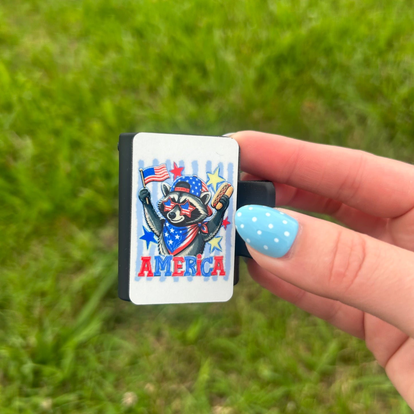 Raccoon America Small Claw Clip