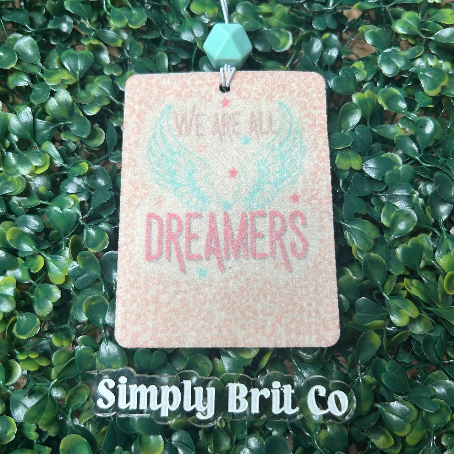 We Are All Dreamers Freshie | Pink Cheetah
