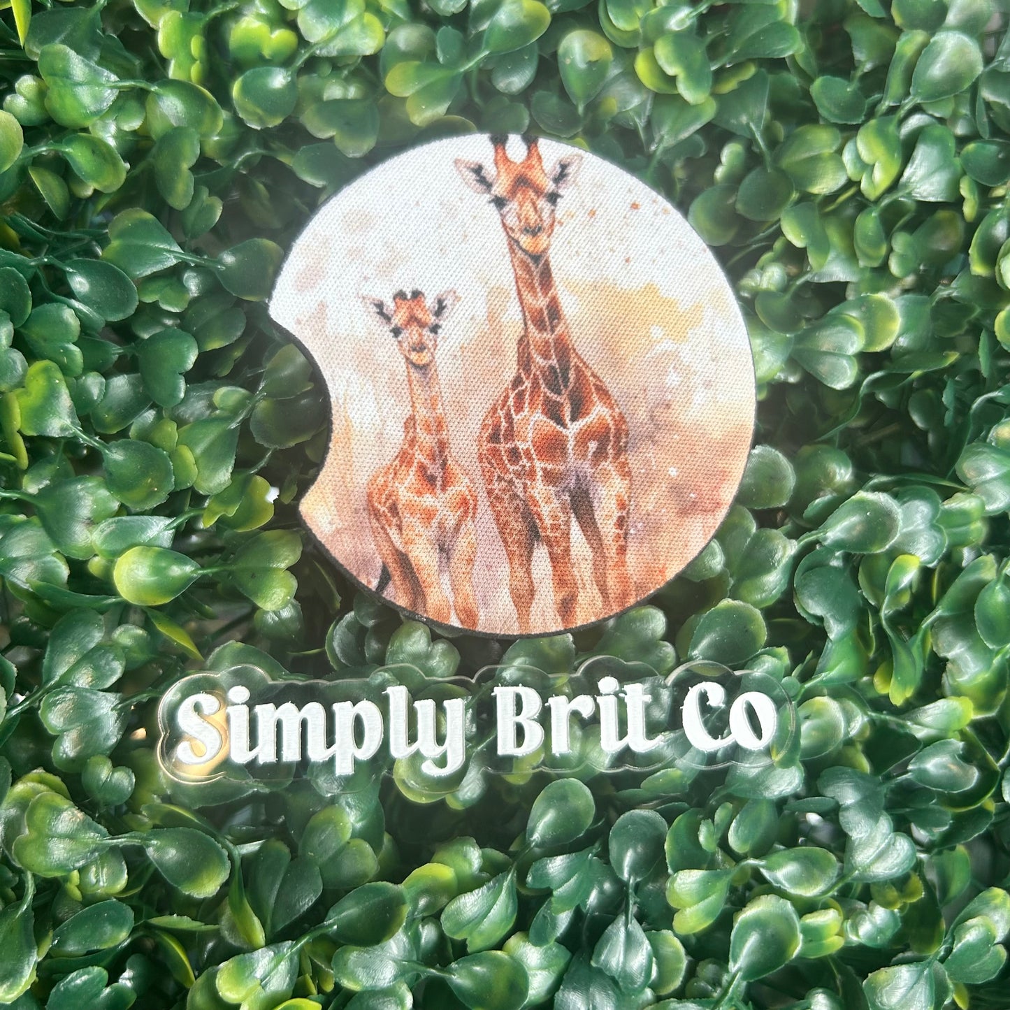 Giraffe Freshie and Car Coaster