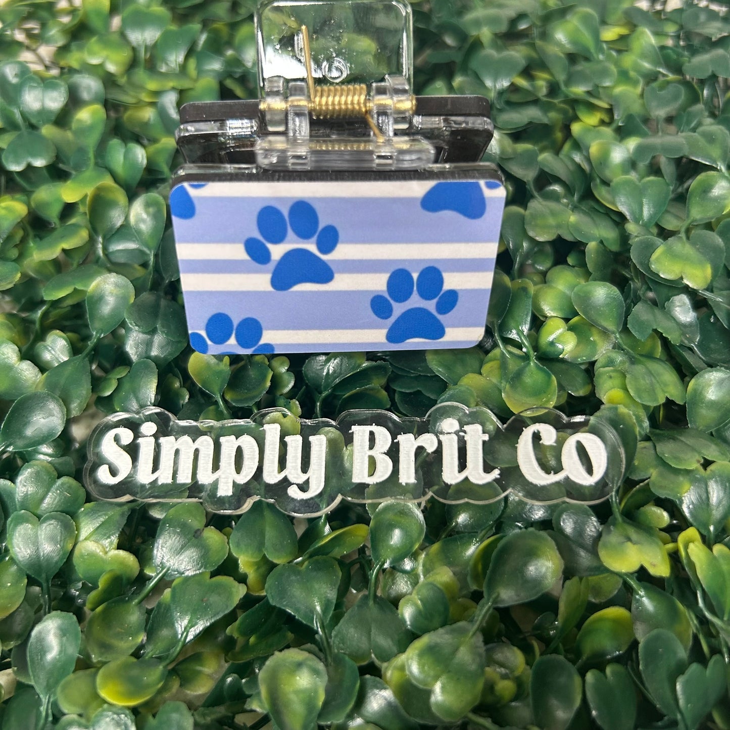 Blue Striped Small Claw Clip