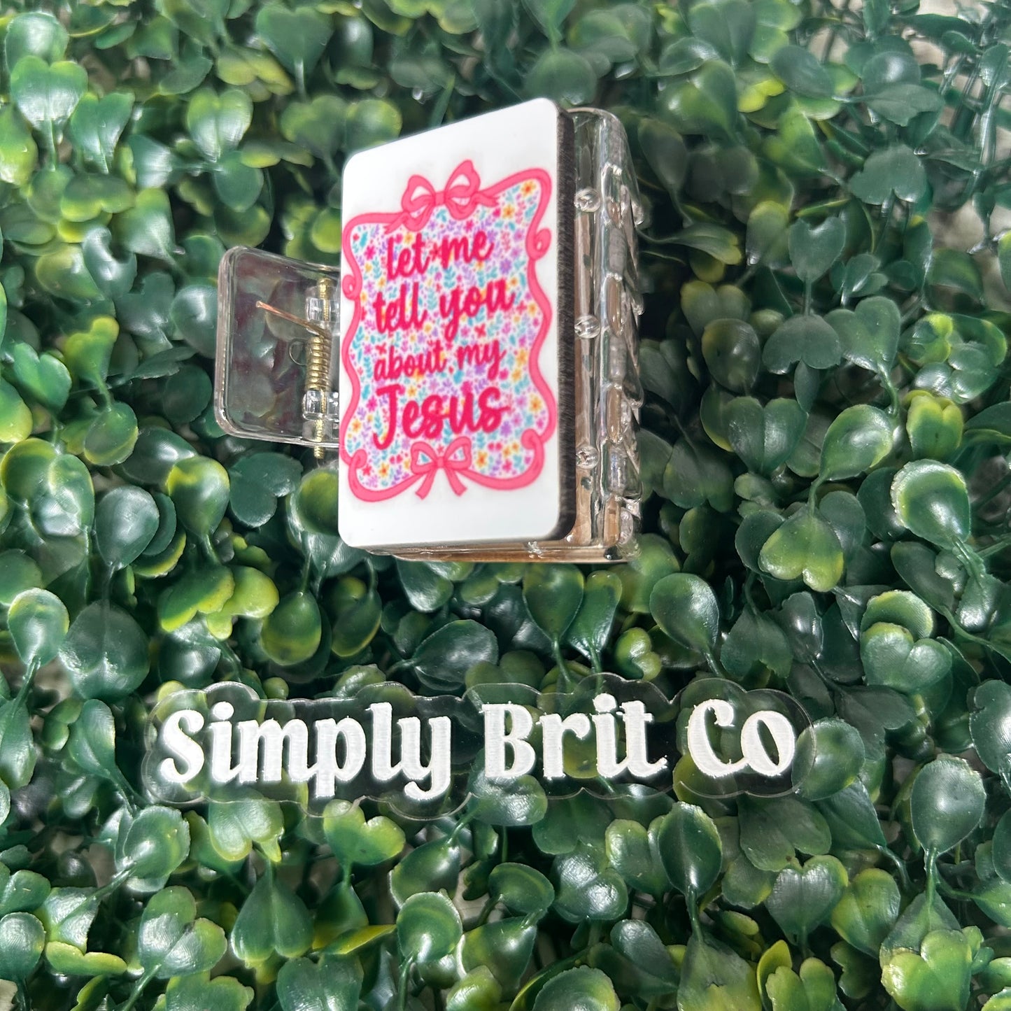 Let Me Tell You About My Jesus Small Claw Clip