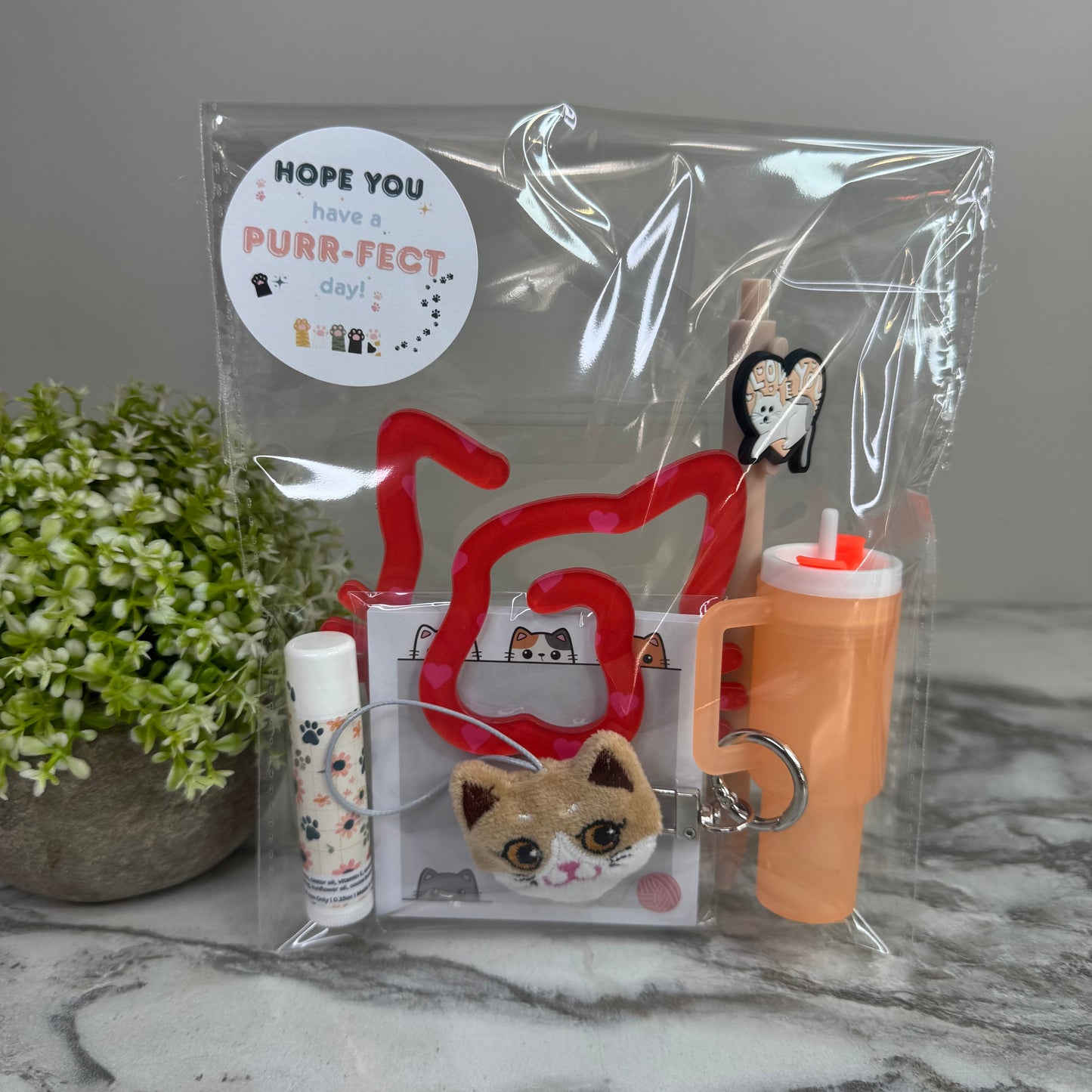 Bundled Set - Cat #1 Purrfect Day