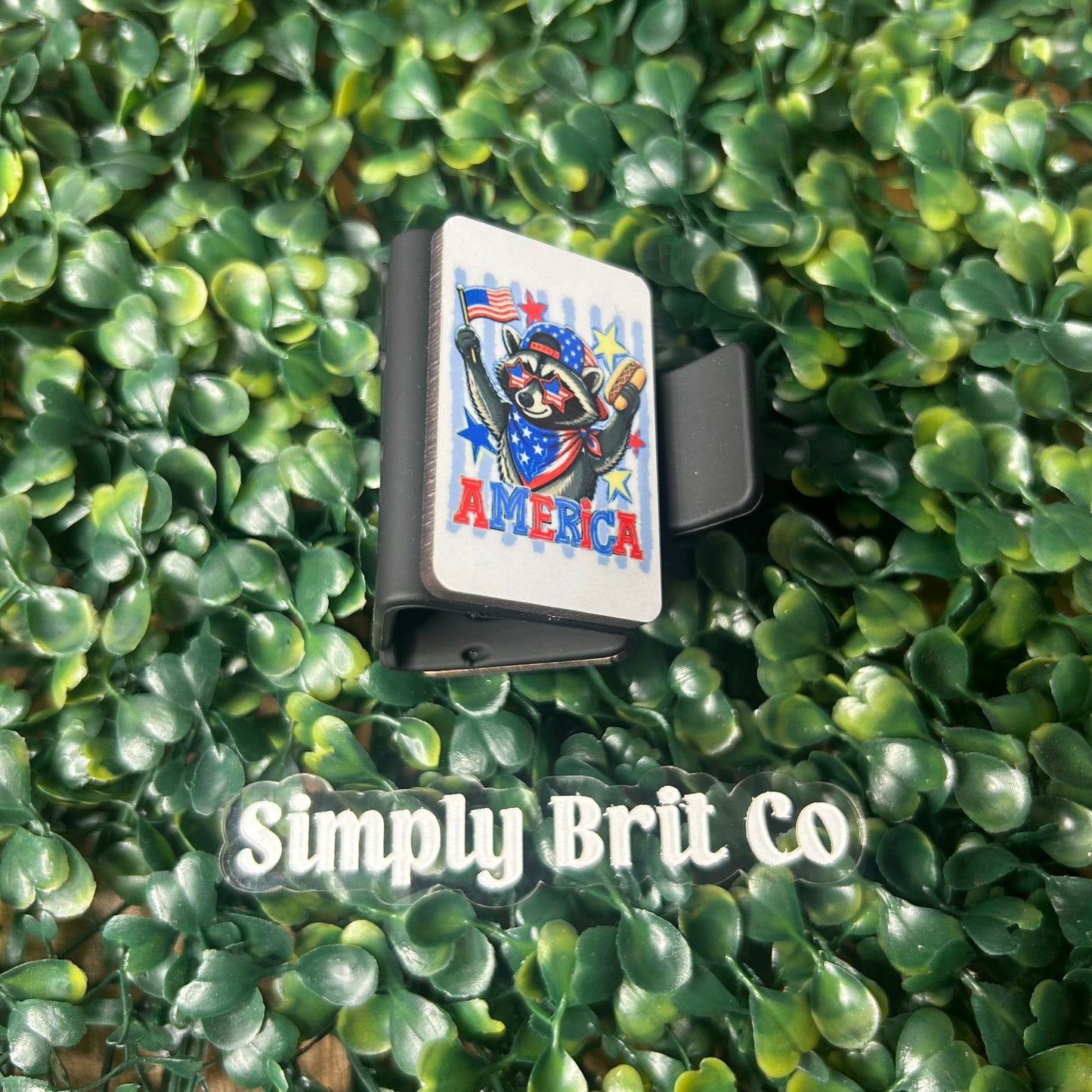 Raccoon America Small Claw Clip
