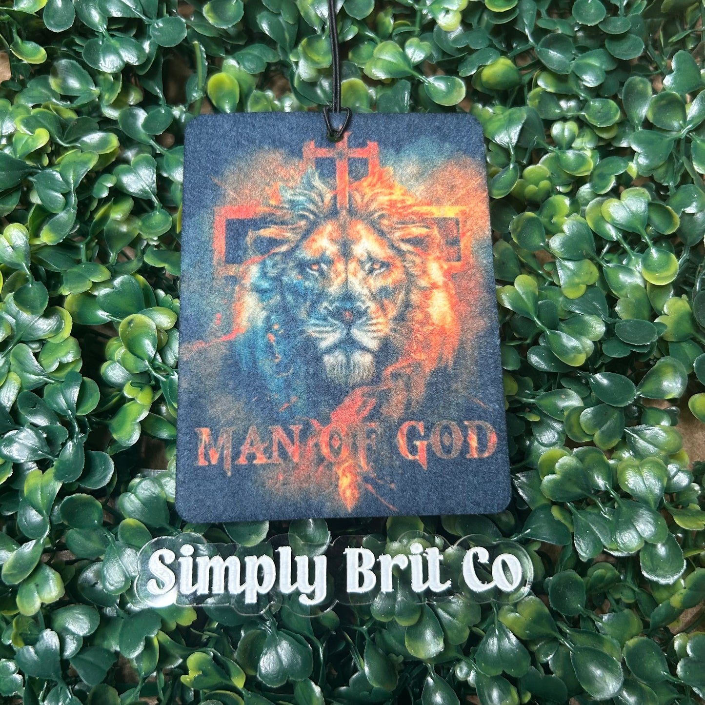 Lion Man of God Freshie