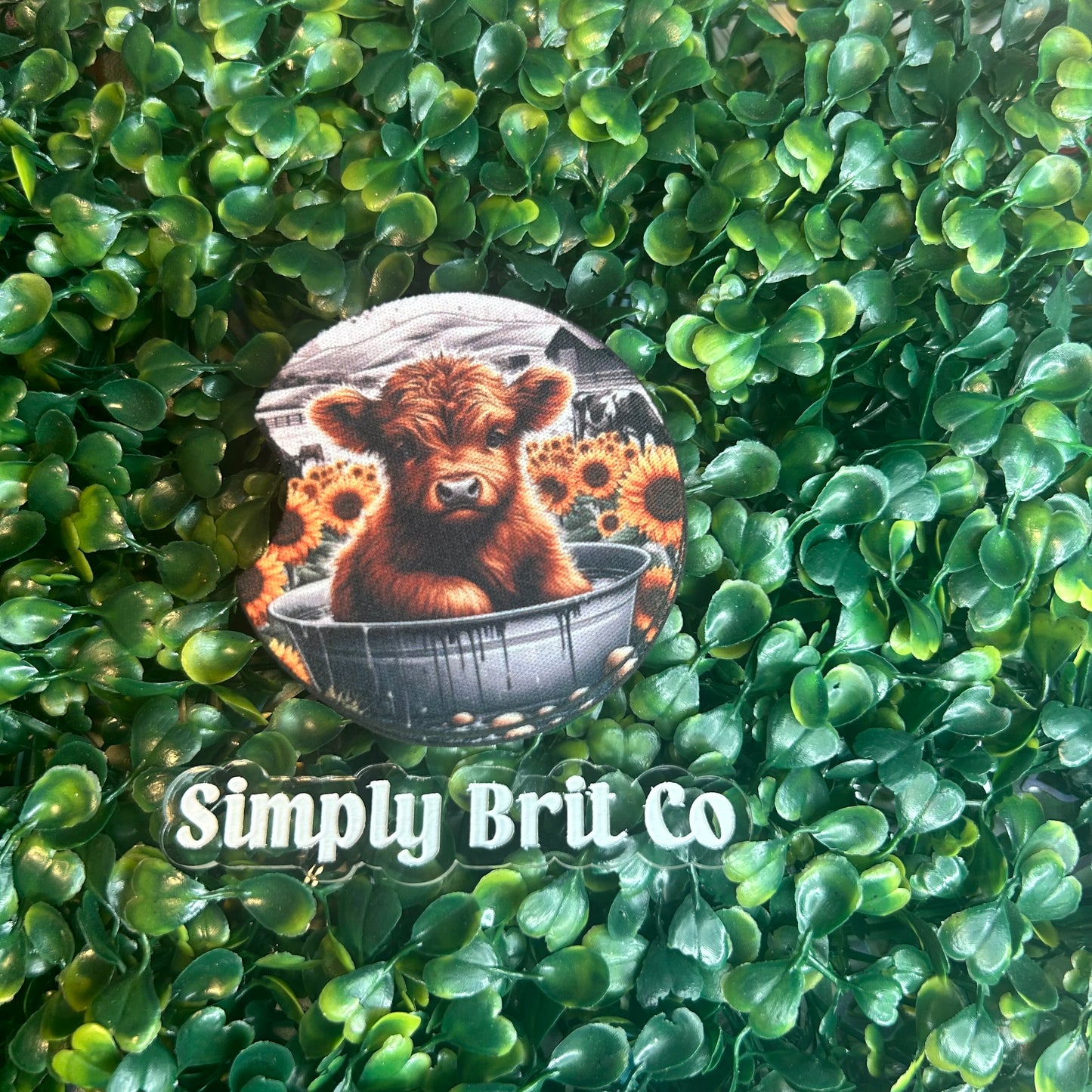 Sunflower Highland Cow Freshie and Car Coaster