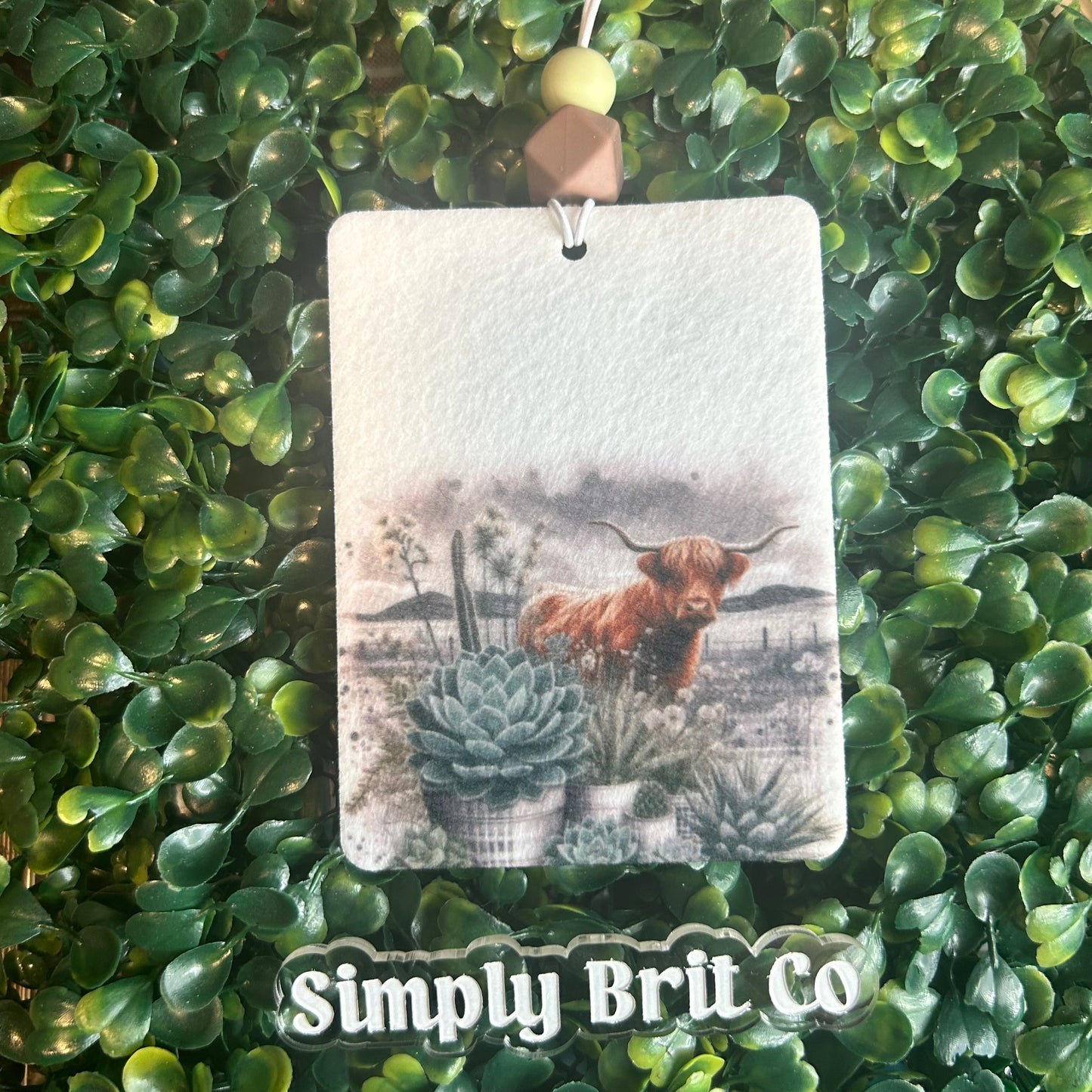 Plants and Highland Cow Freshie and Car Coaster