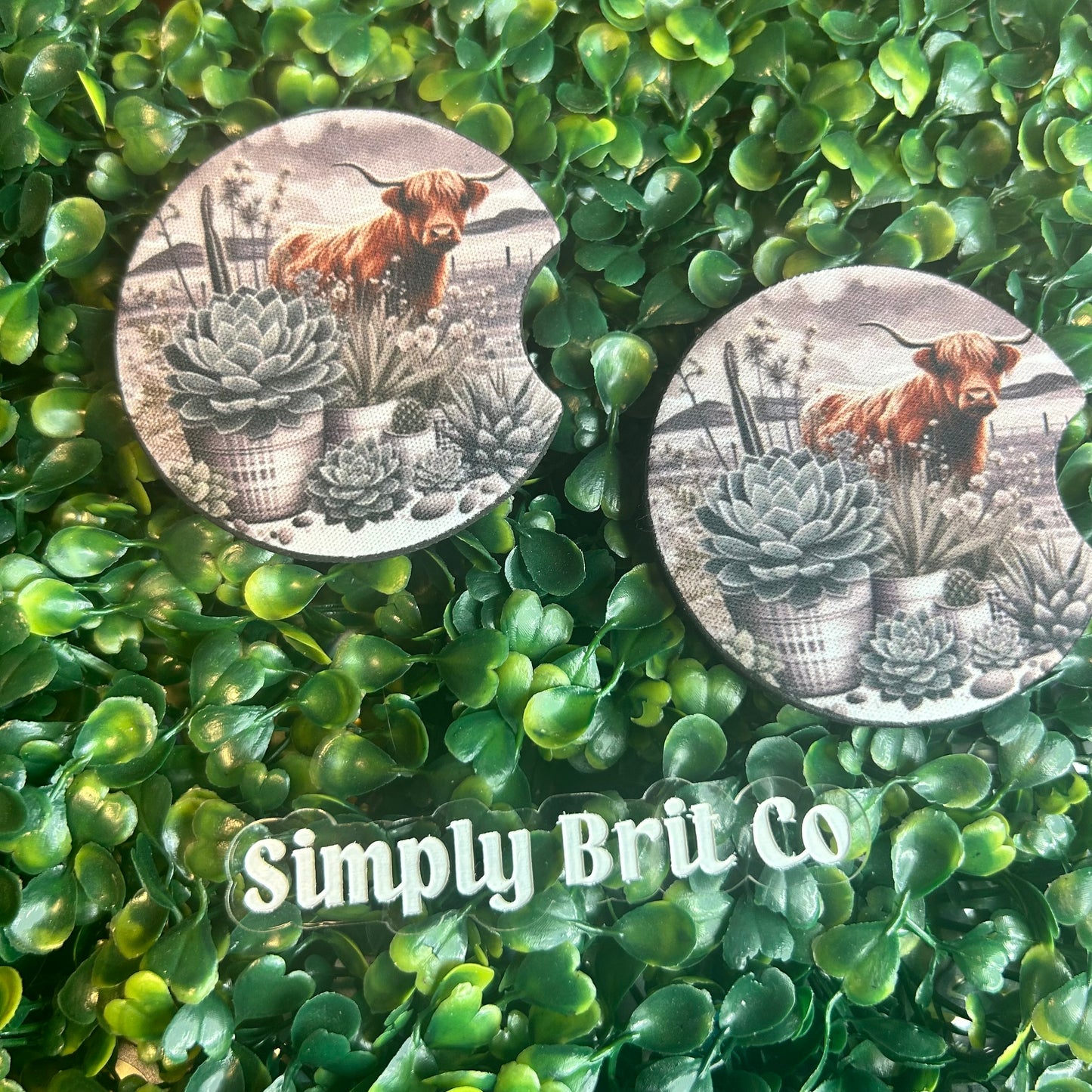 Plants and Highland Cow Freshie and Car Coaster