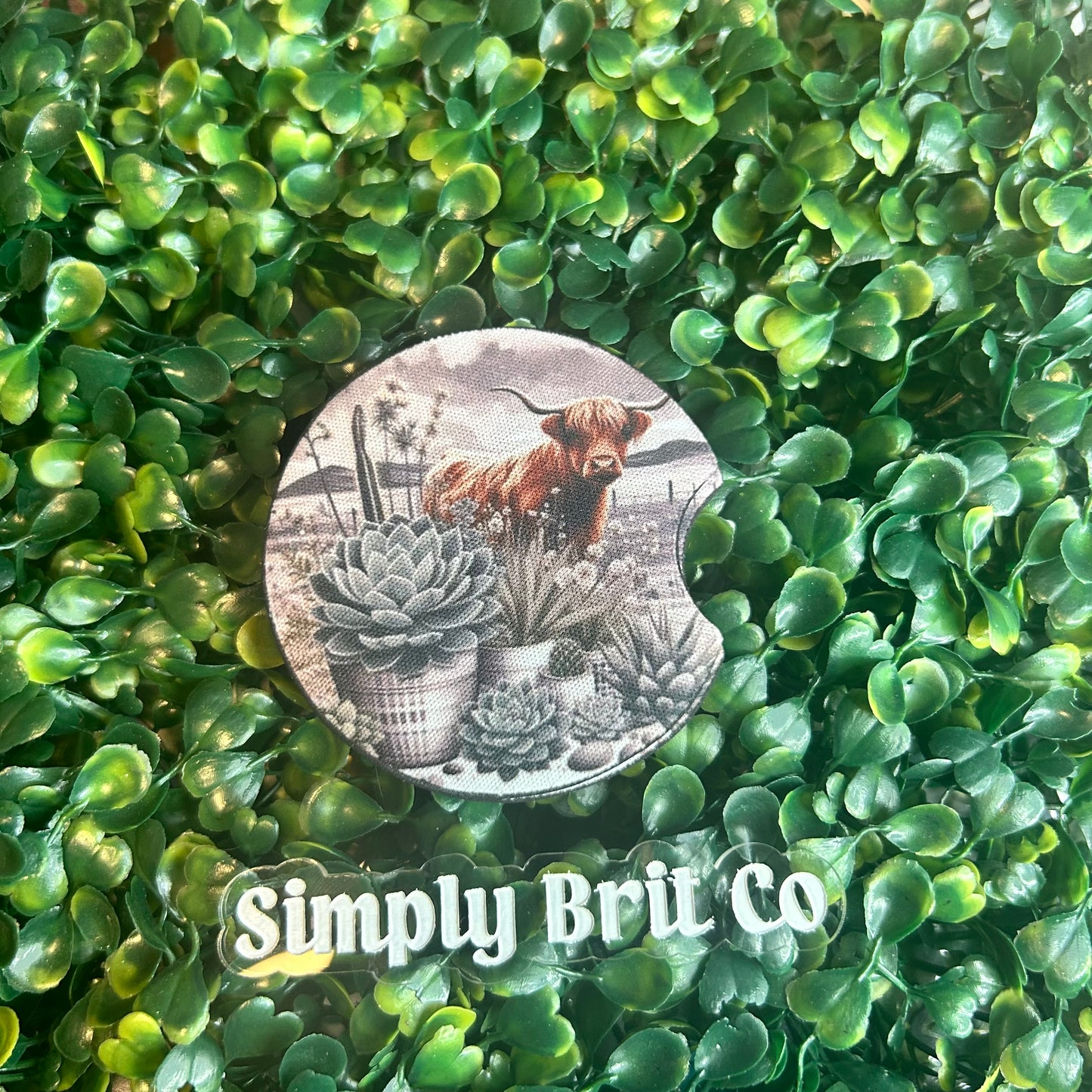 Plants and Highland Cow Freshie and Car Coaster