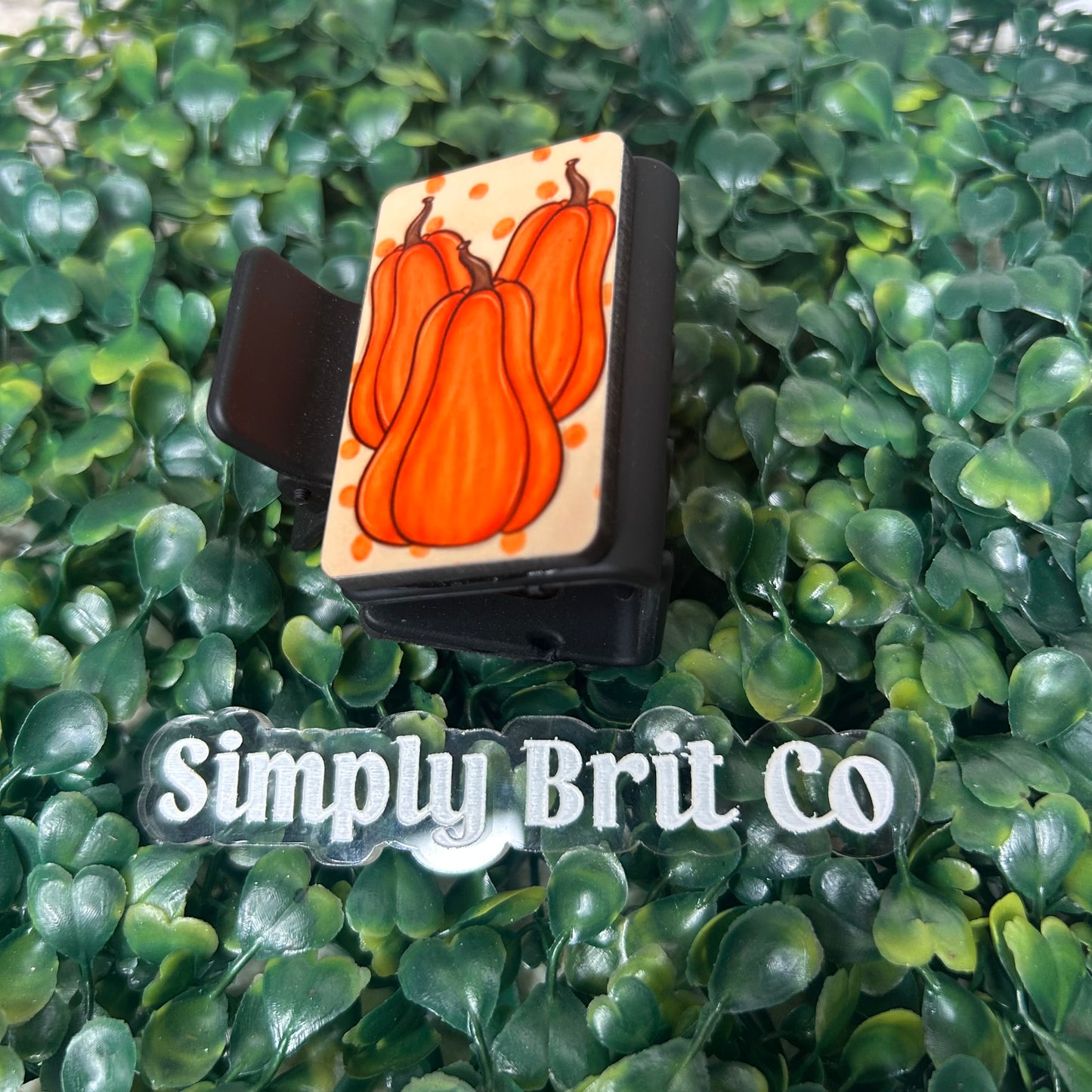 Gourd Small Claw Clip