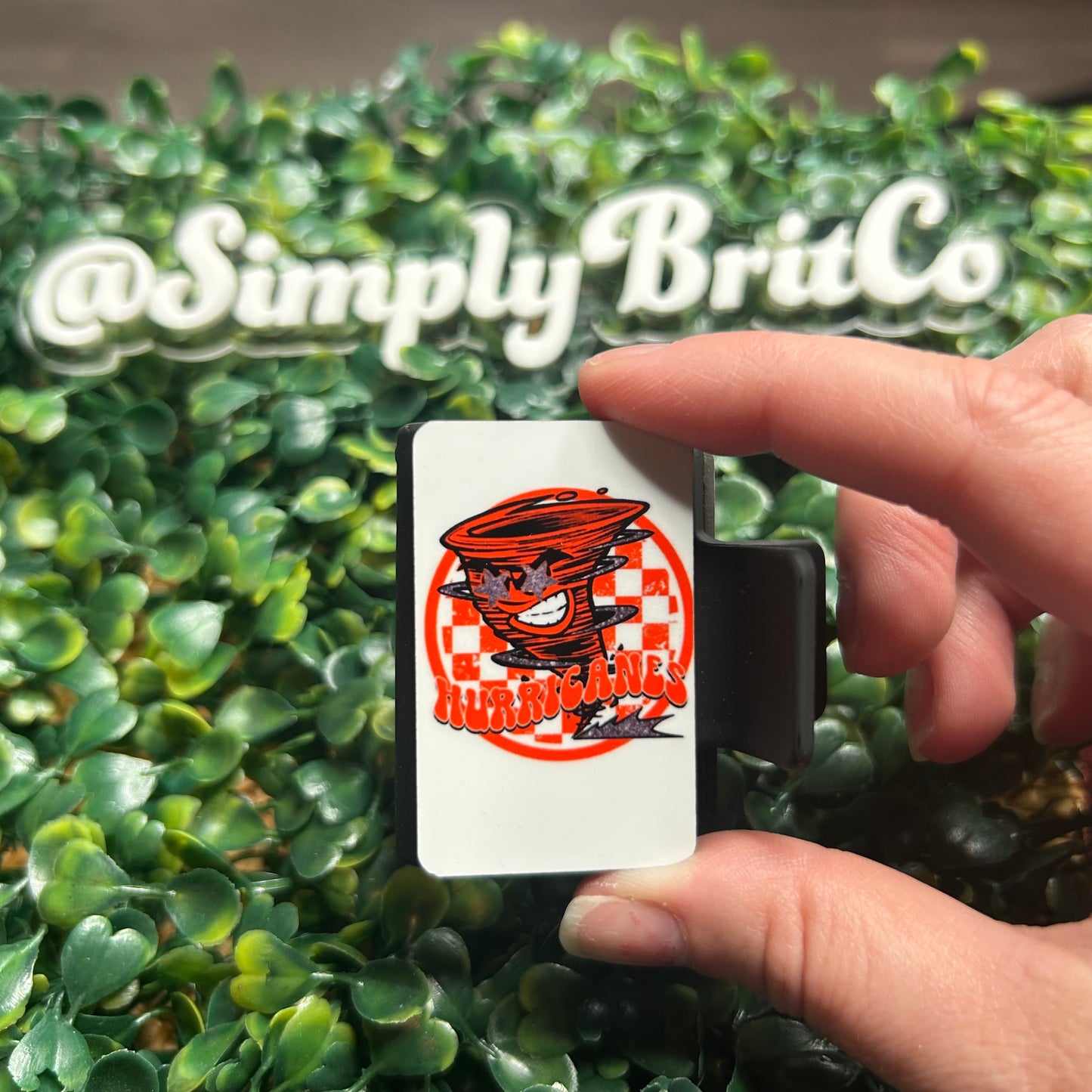 Hurricanes Small Claw Clip | School Mascots